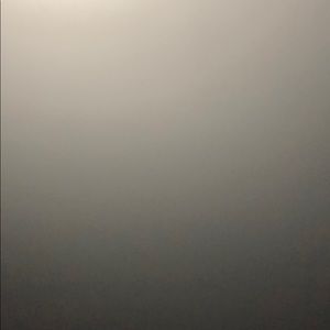 Meet your Posher, Trevor